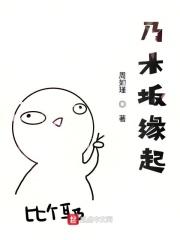 乃木坂名字来源